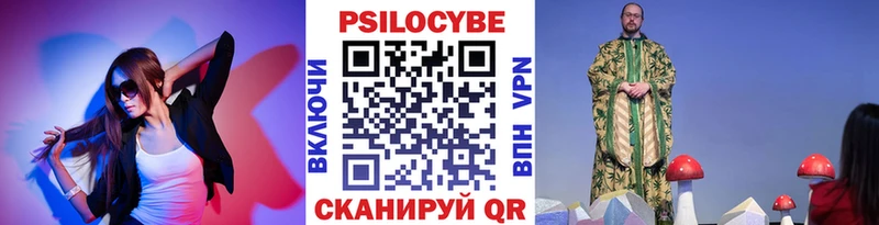 купить   Выборг  Псилоцибиновые грибы Psilocybe 
